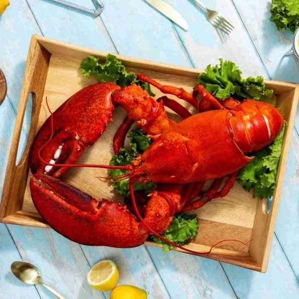 8-lb-10-lb-Live-Canadian-Lobster-595x595-1.jpg